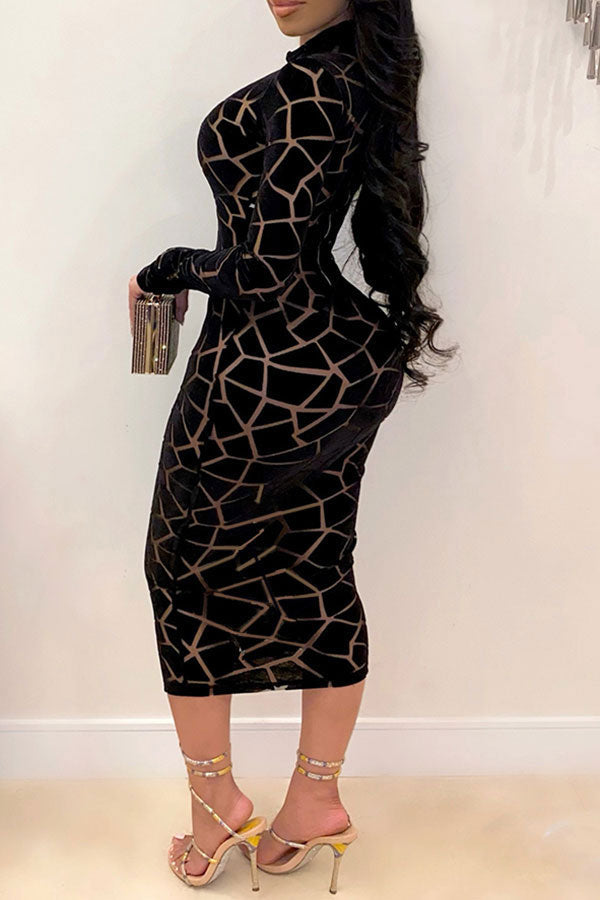 Graphic Print Classic Mesh See-Through Midi Dress